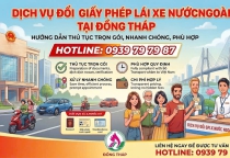 Đổi Giấy Phép Lái Xe Nước Ngoài Tại Đồng Tháp Nhanh Chóng